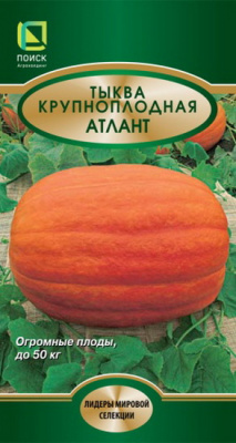 Тыква Атлант крупноплодная
