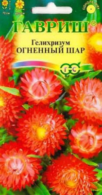Гелихризум Огненный шар смесь
