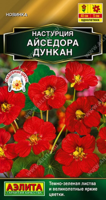 Настурция Айседора Дункан