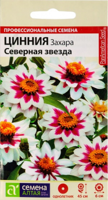 Цинния Захара СЕВЕРНАЯ ЗВЕЗДА