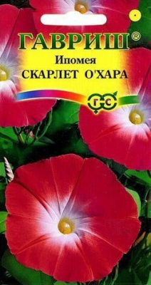Ипомея Скарлет О'Хара