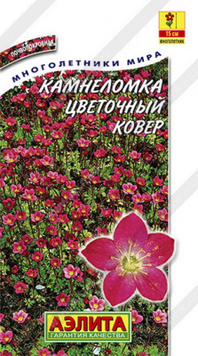 Камнеломка Цветочный ковер