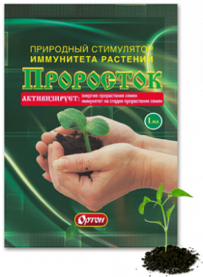 Prorostok