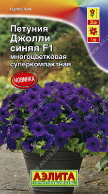 Петуния Джолли синяя