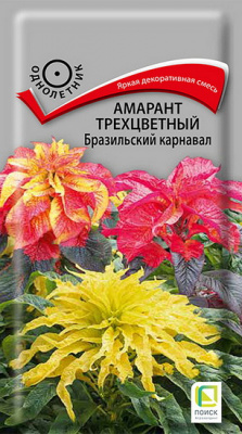 Амарант Бразильский карнавал трехцветный