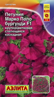 Петуния Марко Поло бургунди