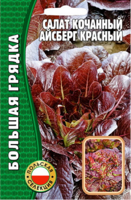 Салат Айсберг красный кочанный