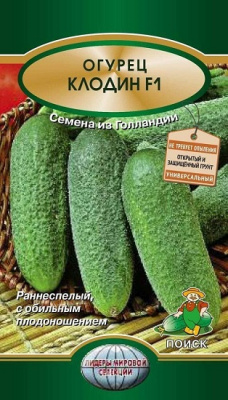Огурец Клодин
