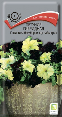 Петуния Софистика Блекберри энд Лайм Грин