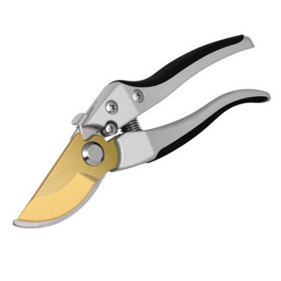 sekator_1381