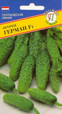 Огурец ГЕРМАН (Престиж)