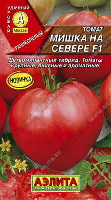 Томат Мишка на севере