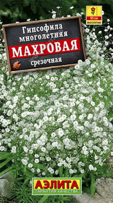 Гипсофила Махровая многолетняя