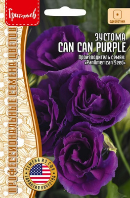 Эустома Can Can Purple