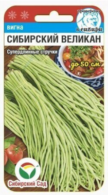 Вигна Сибирский великан