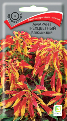 Амарант Иллюминация трехцветный