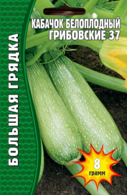 кабачок грибовский