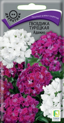 Гвоздика турецкая Адажио