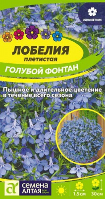 Лобелия Голубой Фонтан