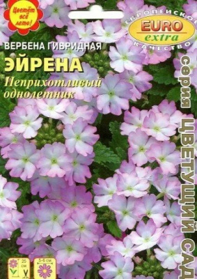 Вербена Эйрена