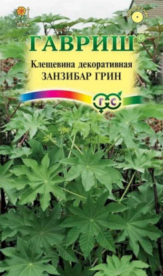 Клещевина Занзибар Грин