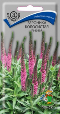 Вероника Розовая колосистая