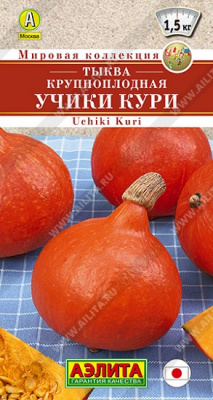 Тыква Учики кури