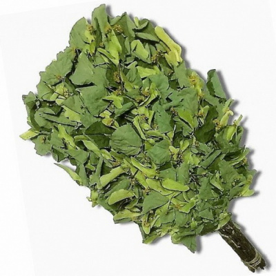 Веник липа (Краснодар)