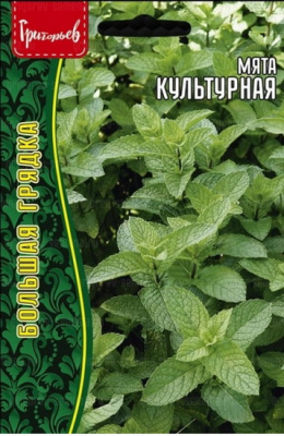 Мята Культурная  (Ред.сем)