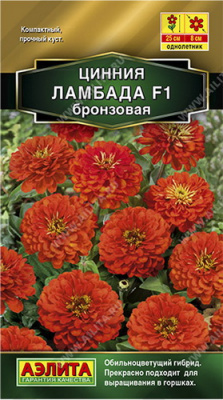 Цинния Ламбада бронзовая