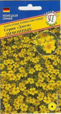 Бархатцы Джем лимонные