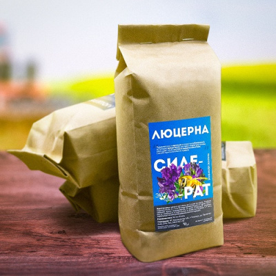 Люцерна