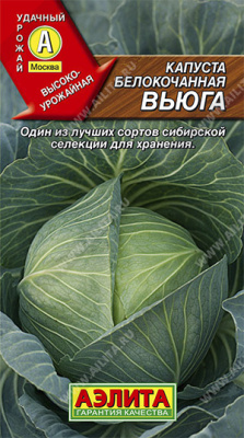 Капуста белокочанная Вьюга