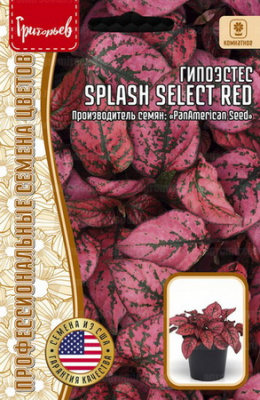 Гипоэстес Splash Select Red