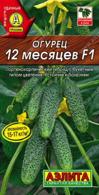 Огурец 12 месяцев