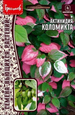 aktinidiya colomicta
