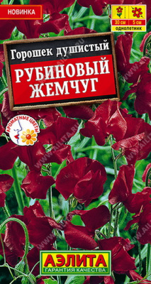 Душистый горошек Рубиновый жемчуг