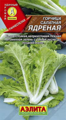 Горчица салатная Ядреная