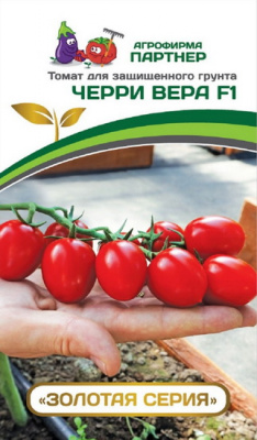 Томат Черри Вера