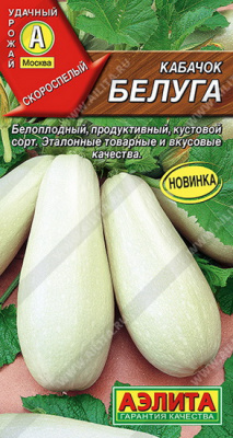 Кабачок Белуга
