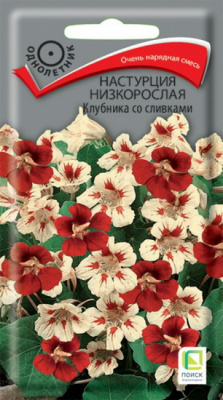 Настурция Клубника со сливками