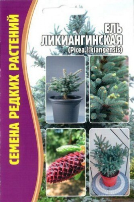 Ель Ликиангинская