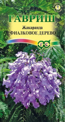 Жакаранда Фиалковое дерево