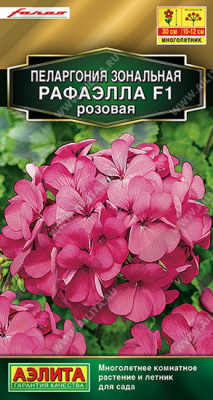 Пеларгония Рафаэлла F1, розовая