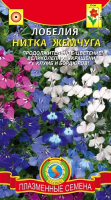 Лобелия Нитка Жемчуга