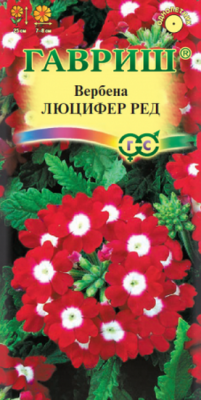 Вербена Люцифер Ред