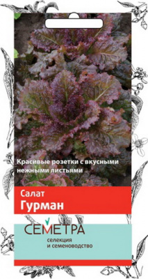 Салат Гурман