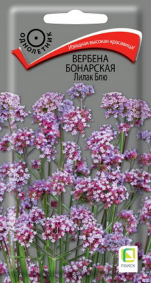 Вербена Лилак Блю