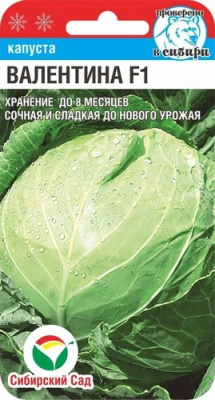 Капуста белокочанная Валентина