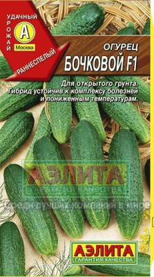 огурец Бочковой